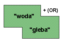 or2.gif - 1900 Bytes